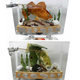 Image for article titled Glass Toilets Make Your Art Your Masterpiece